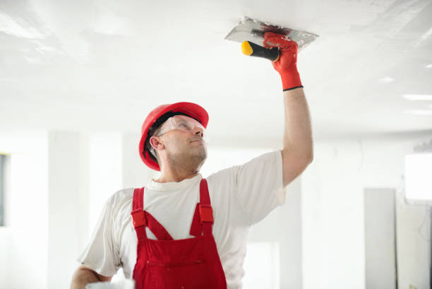 Best Exterior Painting Solutions  in Pipestone, MN